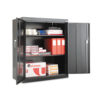 Assembled 42" High Storage Cabinet, w/Adjustable Shelves